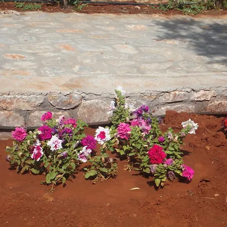 Koukouri Ξενοδοχείο Αρεόπολις