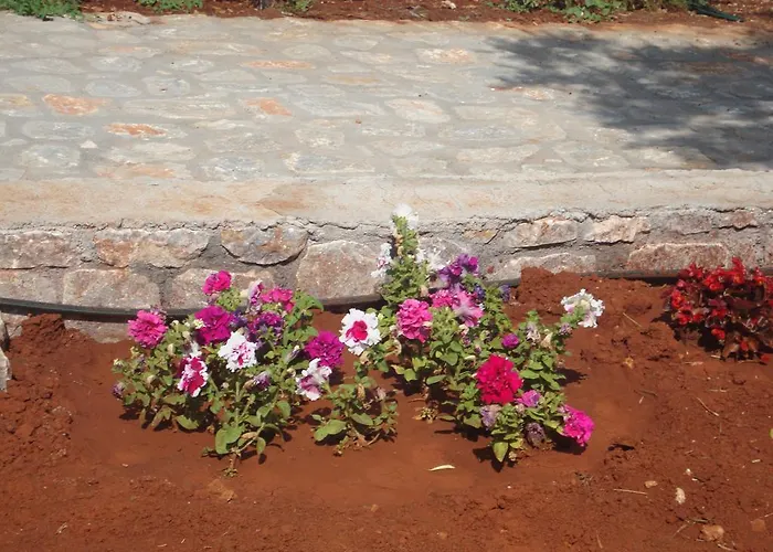 Koukouri Otel Areopoli